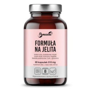 Panaseus Formuła na Jelita – suplement diety na zdrowie jelit – 50 kapsułek