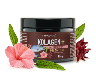 Skoczylas Kolagen z Łososia + 5 składników Premium - suplement diety proszek 184 g