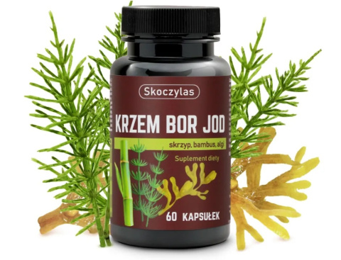 Skoczylas Krzem, Bor, Jod + Skrzyp, Bambus, Algi, suplement diety 60 kapsułek wspomagający zdrowie Skoczylas Krzem, Bor, Jod + Skrzyp, Bambus, Algi, suplement diety 60 kapsułek wspomagający zdrowie