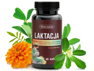 Skoczylas Laktacja dla Kobiet Karmiących - suplement diety 60 kapsułek