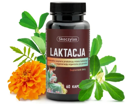 Skoczylas Laktacja, suplement diety dla kobiet poprawiający laktację 60 kapsułek Skoczylas Laktacja, suplement diety dla kobiet poprawiający laktację 60 kapsułek