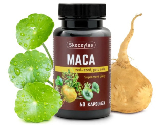 Skoczylas MACA + Żeń-szeń + Gotu cola - suplement diety 60 kapsułek