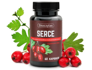 Skoczylas Serce (L-lizyna, Głóg) - suplement diety 60 kapsułek