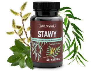 Skoczylas Stawy (wierzba biała) - suplement diety 60 kapsułek